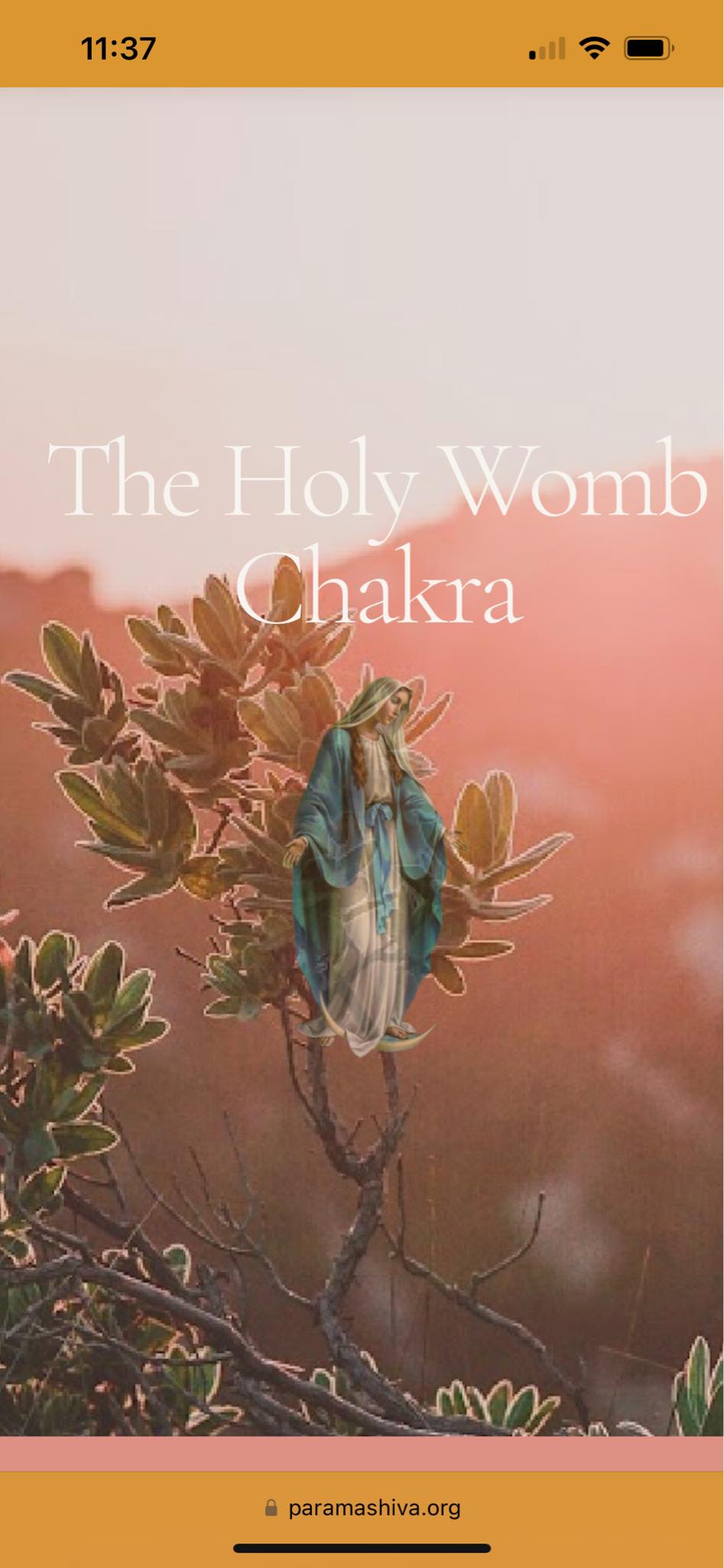 Holy Womb Chakra Meditation